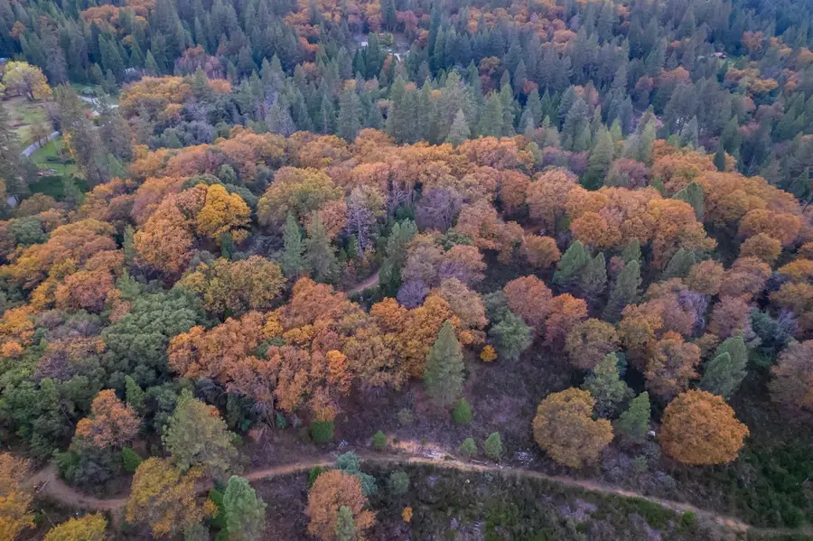 27596 Sweetland Road, North San Juan, CA 95960 - Image #2