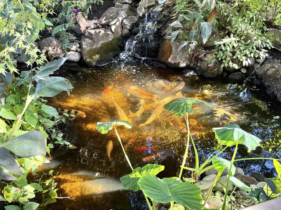 1423 Southwood Way, Roseville, CA 95747 - Image #2