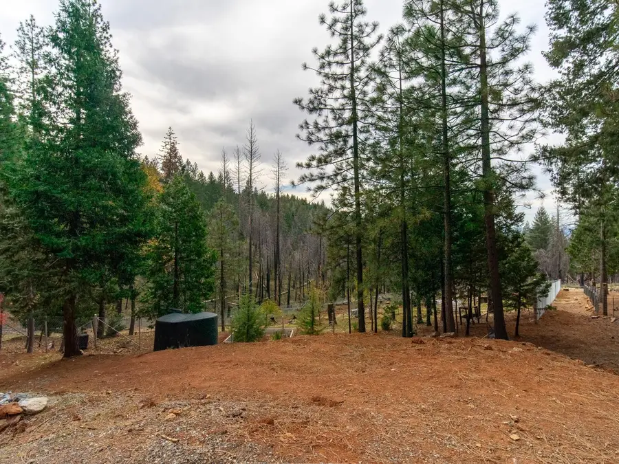 5194 Woodhaven Drive, Grizzly Flats, CA 95636 - Image #2