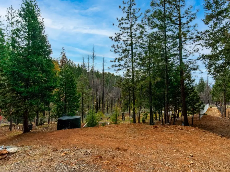 5194 Woodhaven Drive, Grizzly Flats, CA 95636 - Image #3