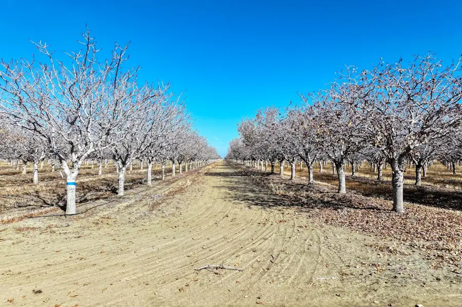 33571 W Adams, Mendota, CA 93640 - Image #2