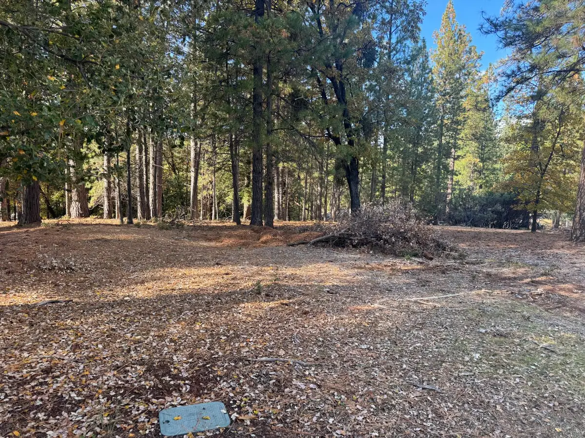 6364 Green Leaf Lane, Foresthill, CA 95631 - Image #1