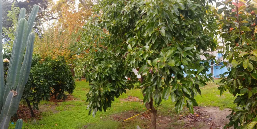 15695 El Capitan Way, Delhi, CA 95315 - Image #3