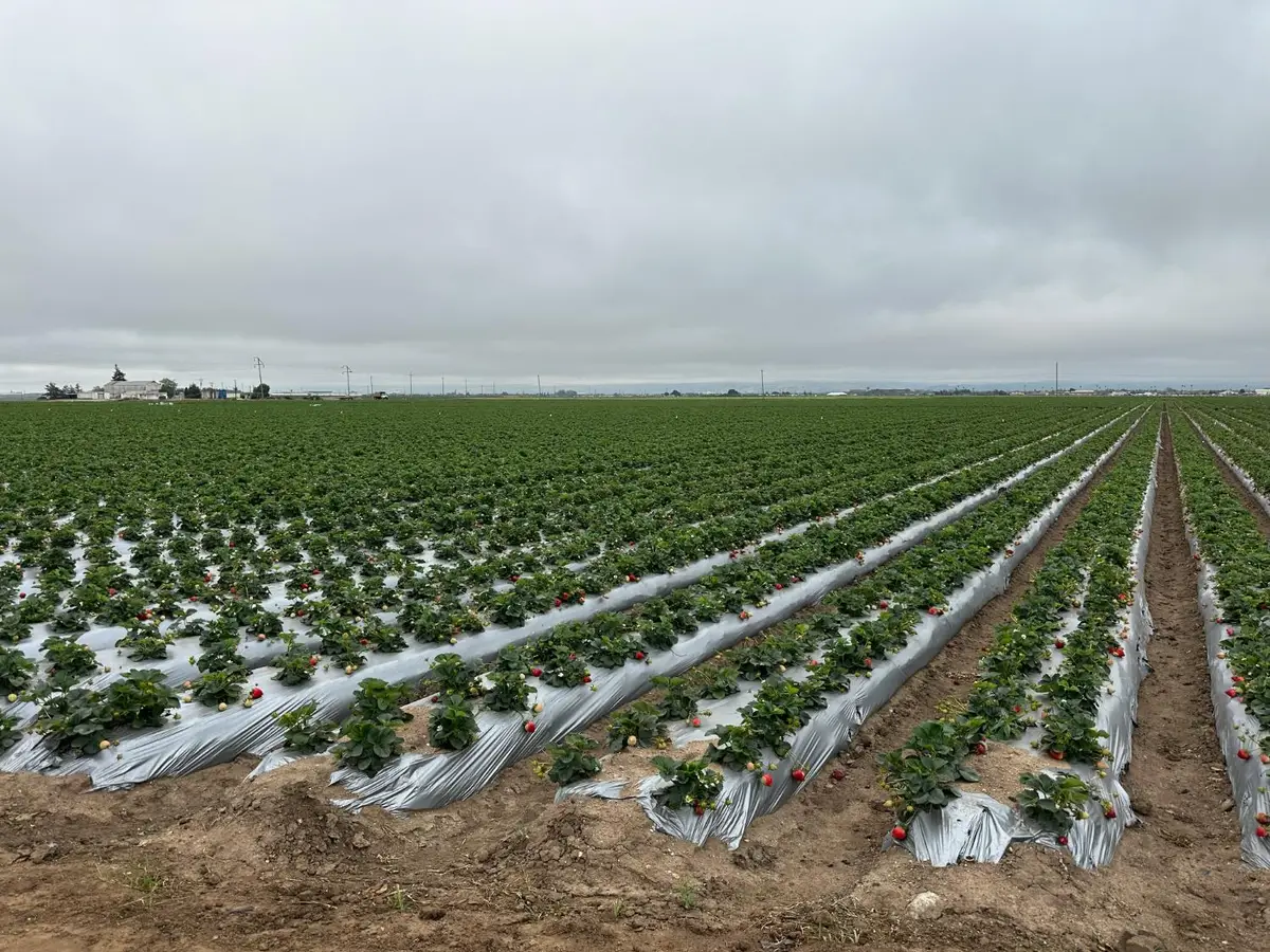 581 San Juan Grade Road, Salinas, CA 93907 - Image #1