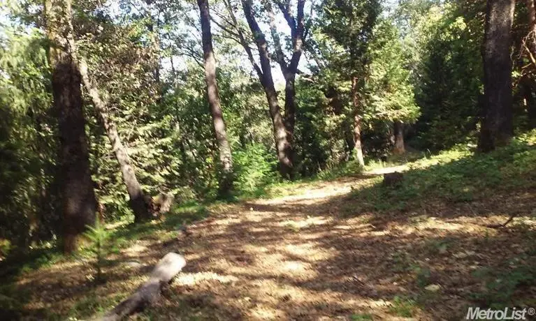 20676 Spring Garden Rd, Foresthill, CA 95631 - Image #2