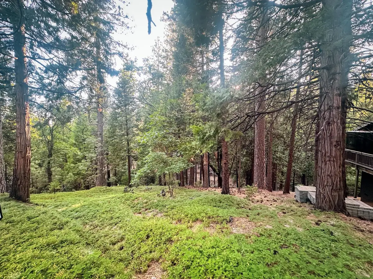 1800 Kit Carson Circle, Arnold, CA 95223 - #1