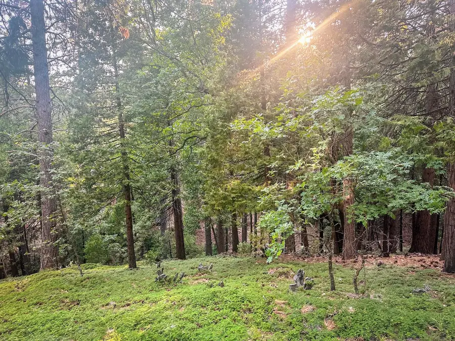 1800 Kit Carson Circle, Arnold, CA 95223 - #2