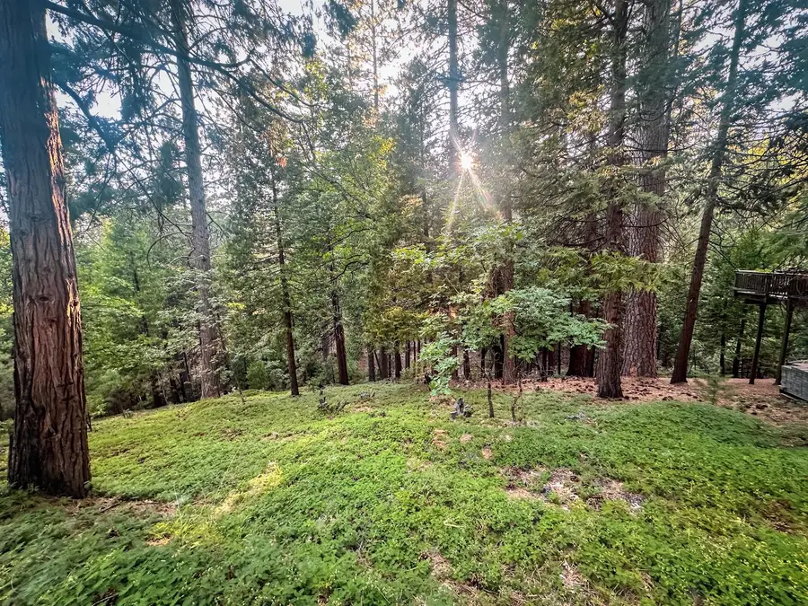 1800 Kit Carson Circle, Arnold, CA 95223 - #3