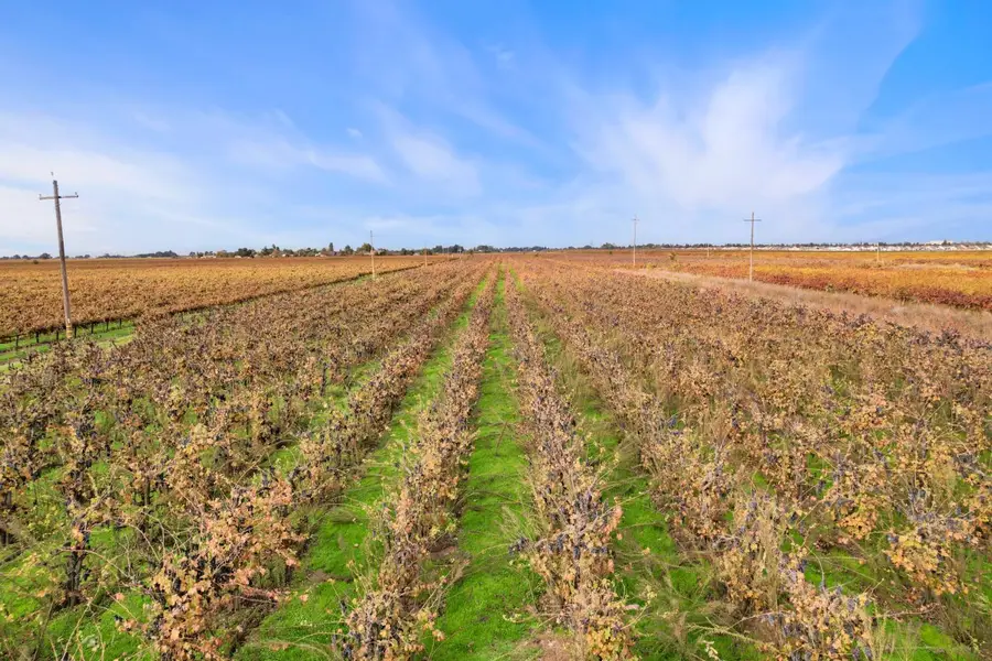 481 W Highway 12, Lodi, CA 95242 - Image #3