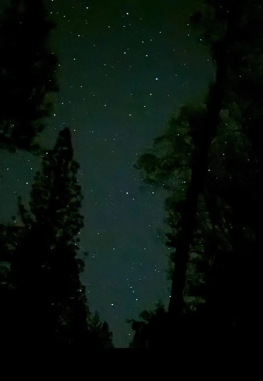 18488 Ponderosa Annex Road, Sutter Creek, CA 95685 - Image #2