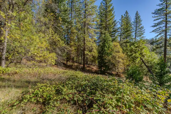 27190 Hill Road, Pioneer, CA 95666