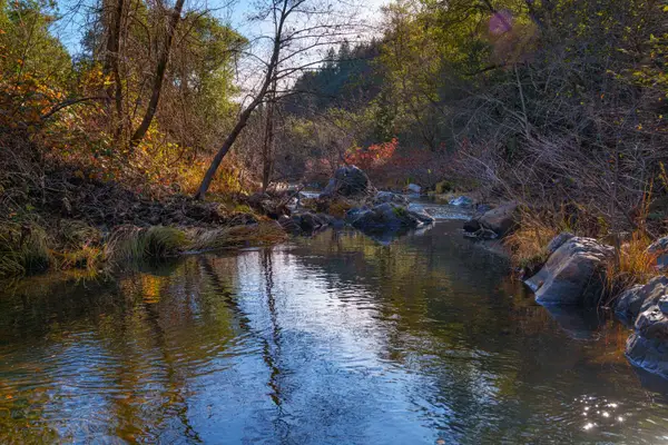 15747 Frenchtown Road, Brownsville, CA 95919