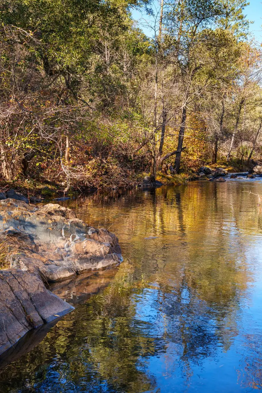 15747 Frenchtown Road, Brownsville, CA 95919 - Image #2