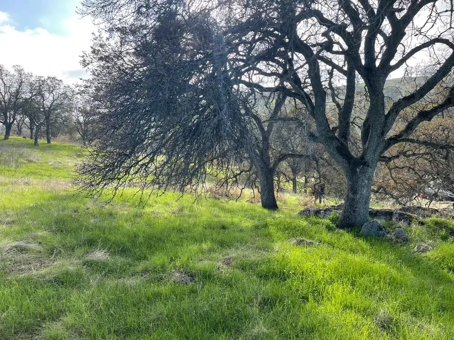 2672 Zelma Way, La Grange, CA 95329 - Image #3