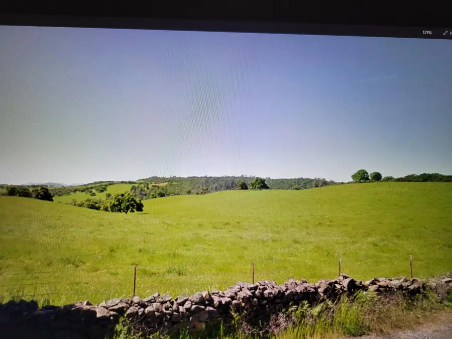 319 Laurel Drive, Jackson, CA 95642 - Image #3