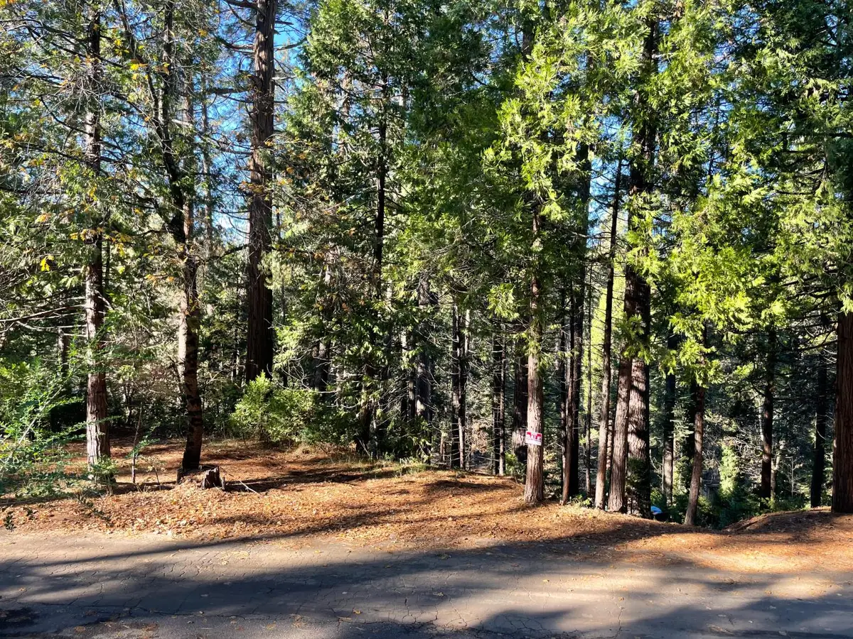 22447 Ponderosa Drive, Twain Harte, CA 95383 - #1