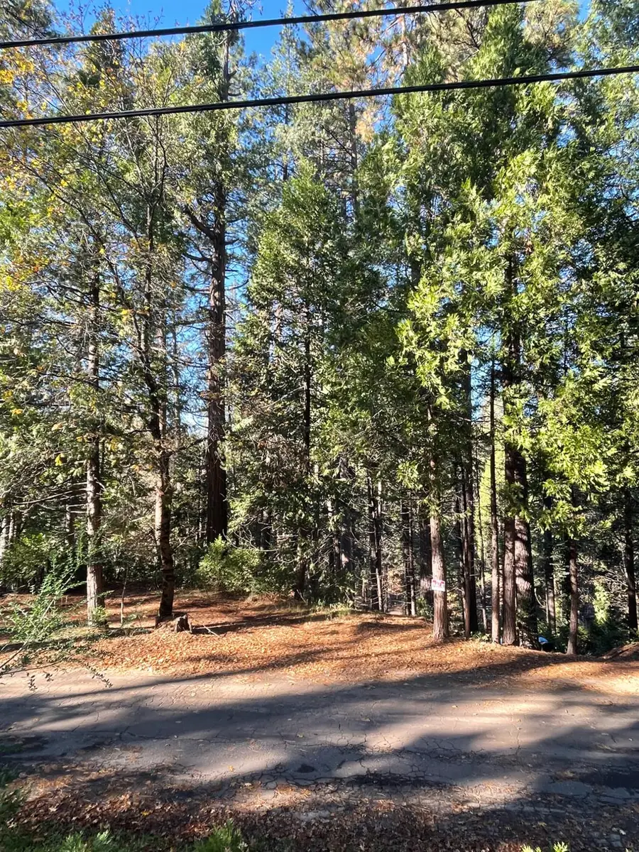 22447 Ponderosa Drive, Twain Harte, CA 95383 - #2