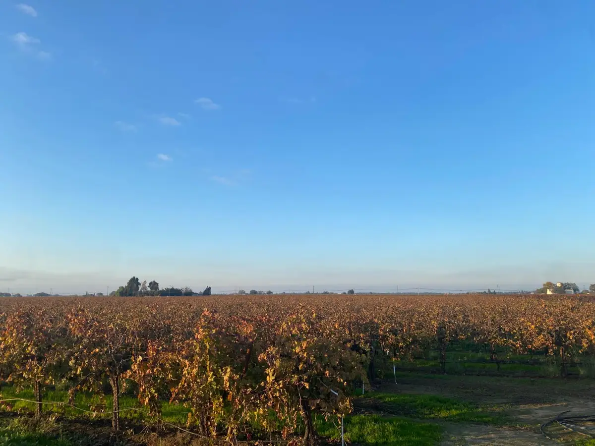 2060 W Woodbridge Road, Lodi, CA 95242 - Image #1