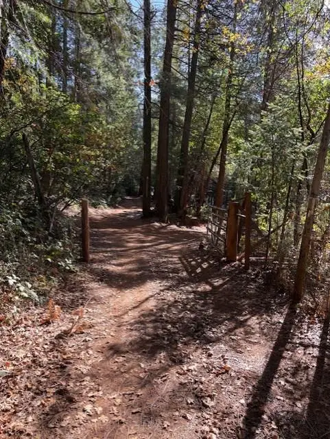 17537 Black Oak Way, Brownsville, CA 95919 - Image #3