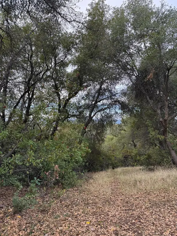 0 Bowman Road, Pine Grove, CA 95665