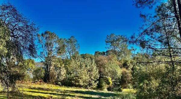 7317 La Porte Road, Rackerby, CA 95972