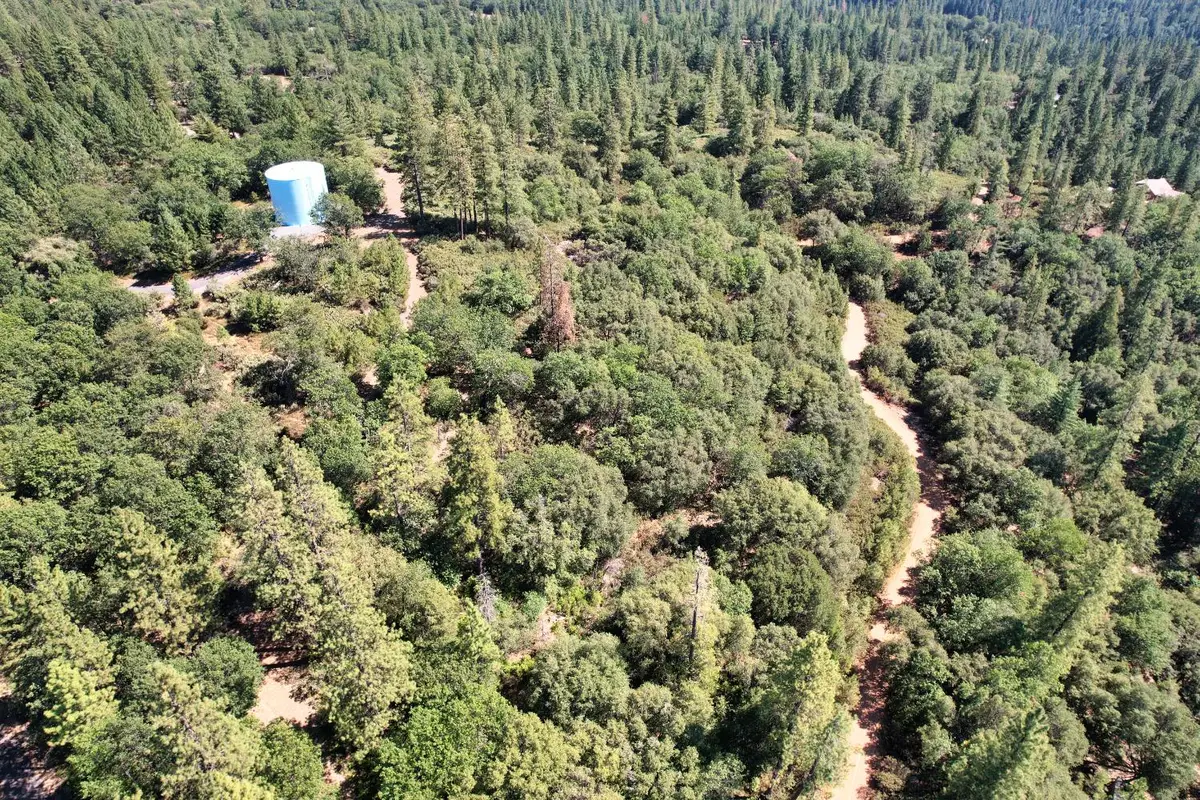 1233 Cedar Hill Road, Mokelumne Hill, CA 95245 - Image #1