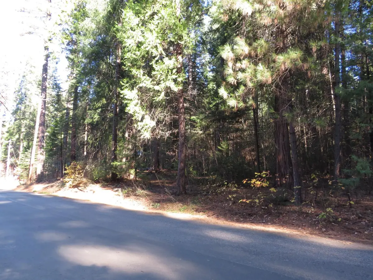 0 Alta Power House Road, Alta, CA 95701 - Image #1