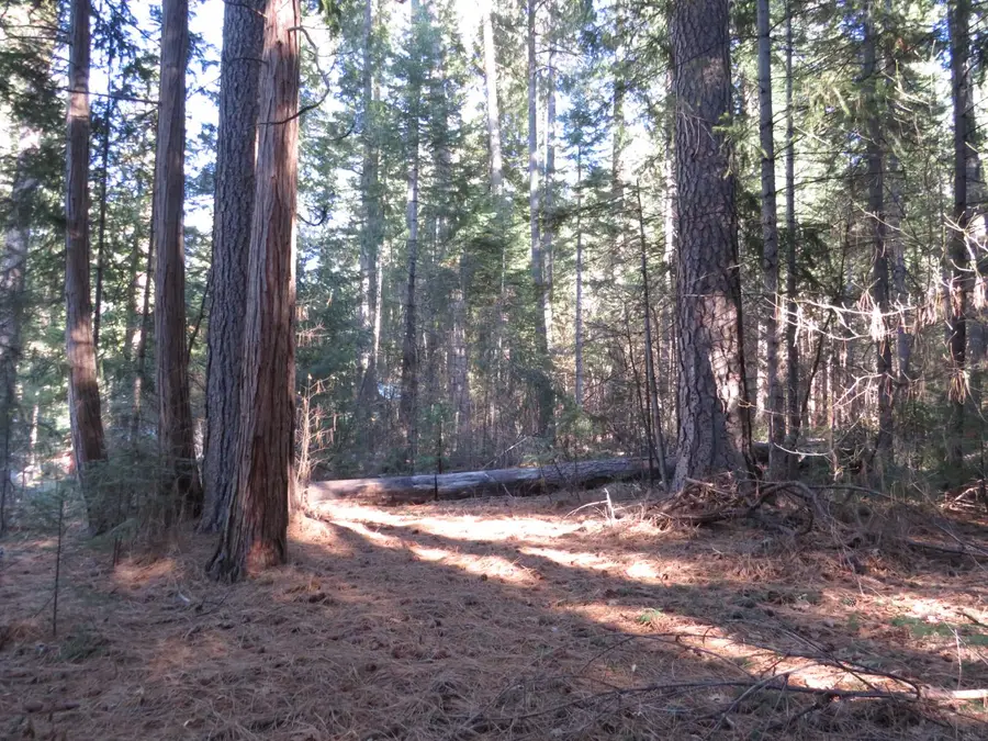 0 Alta Power House Road, Alta, CA 95701 - Image #2