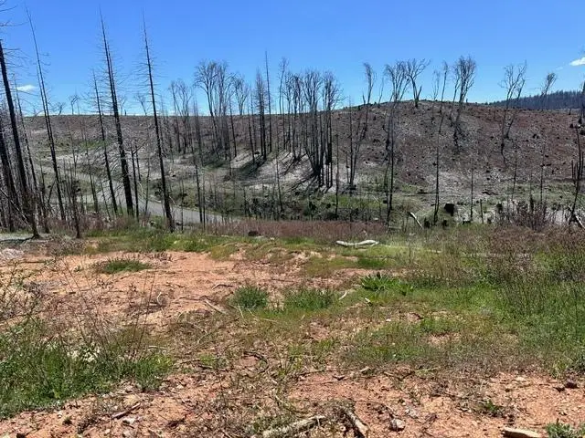 4963 Deertrack Court, Grizzly Flats, CA 95636 - Image #1