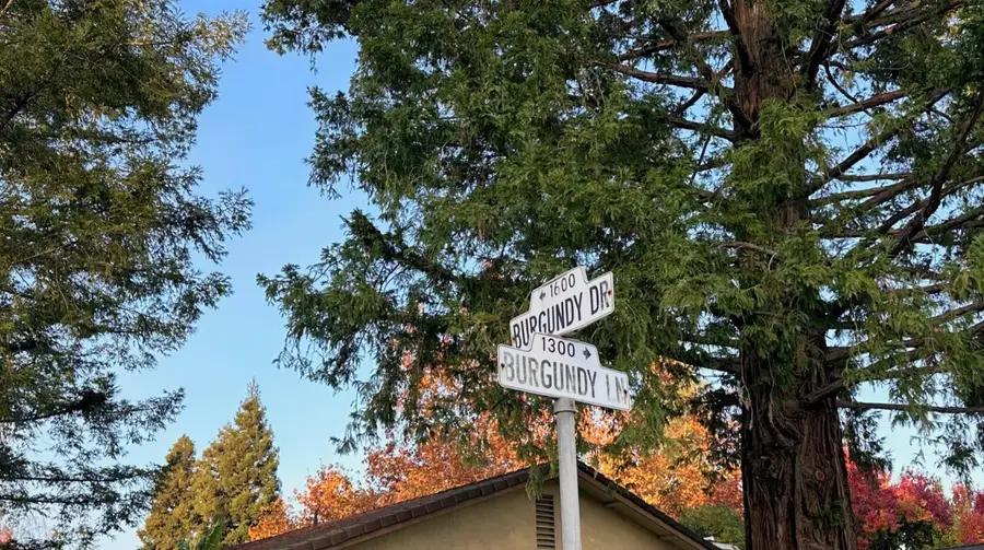 1300 Burgundy Lane, Lodi, CA 95242 - #3