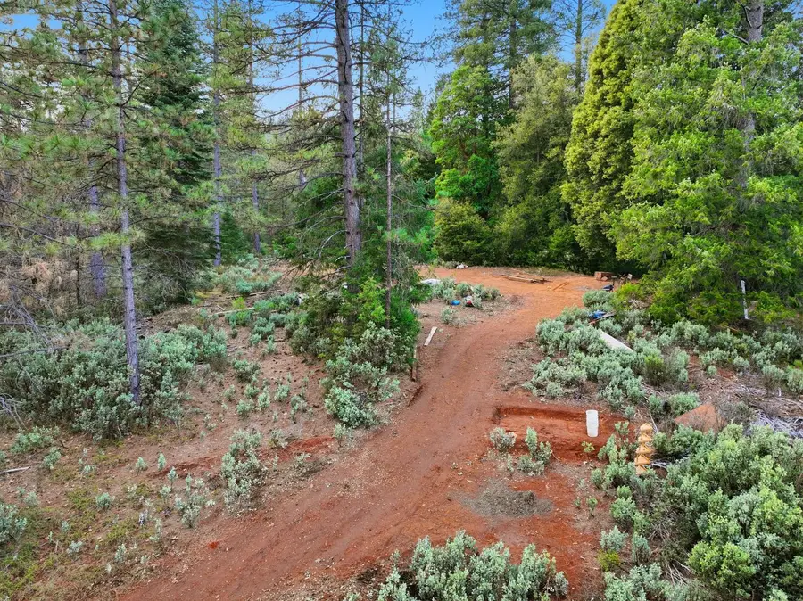 12050 Buckeye Road, Nevada City, CA 95959 - Image #3