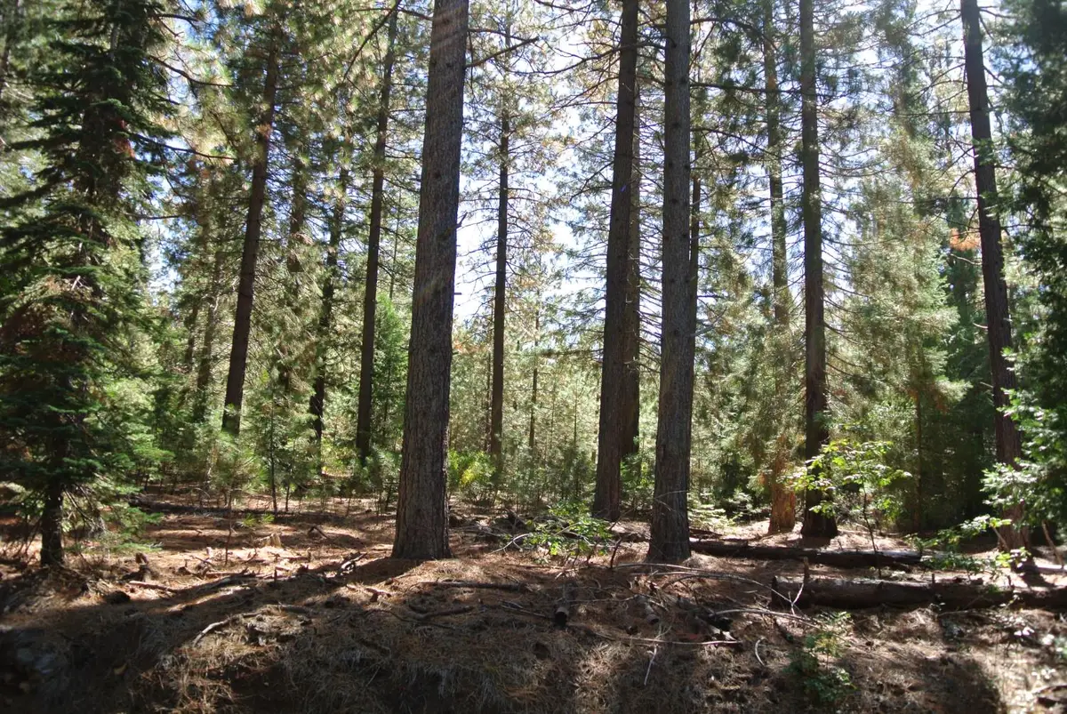 43 Foresthill Road, Foresthill, CA 95631 - Image #1