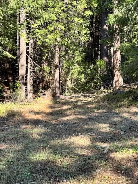 17630 E Antelope Drive E Drive, Pioneer, CA 95666 - Image #1