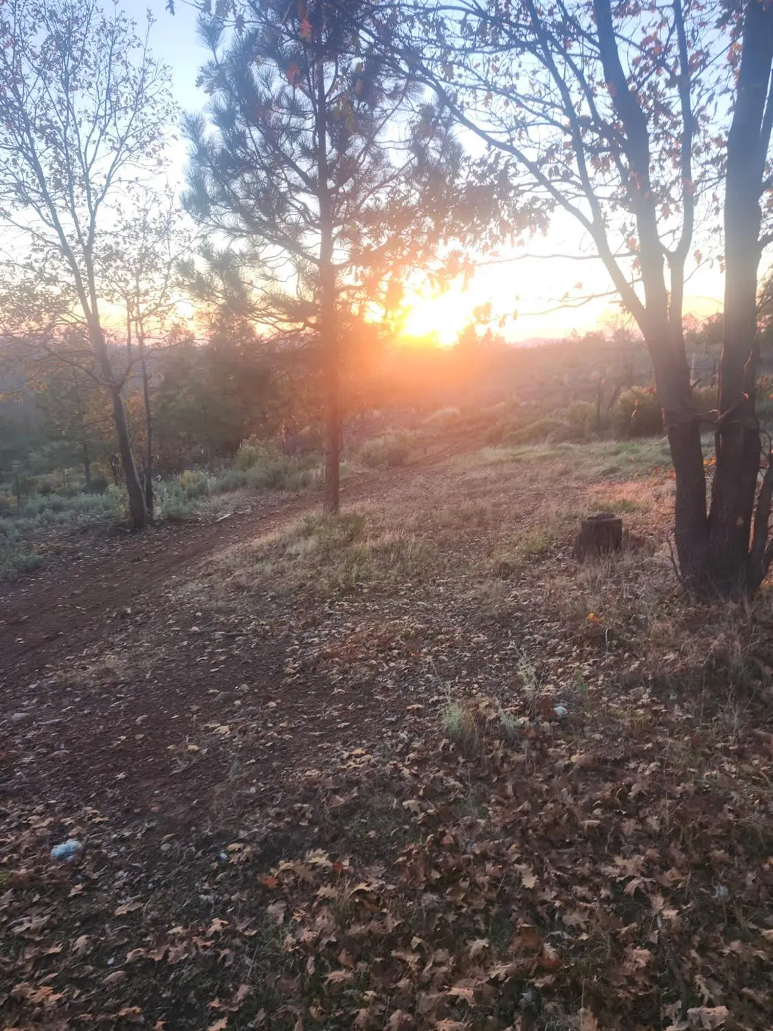 19855 Incense Cedar Trail, Groveland, CA 95321 - Image #1