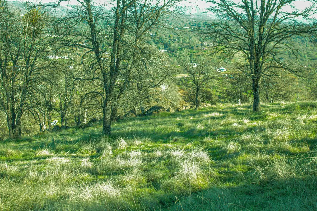 10597 Enramada Drive, La Grange, CA 95329 - Image #1