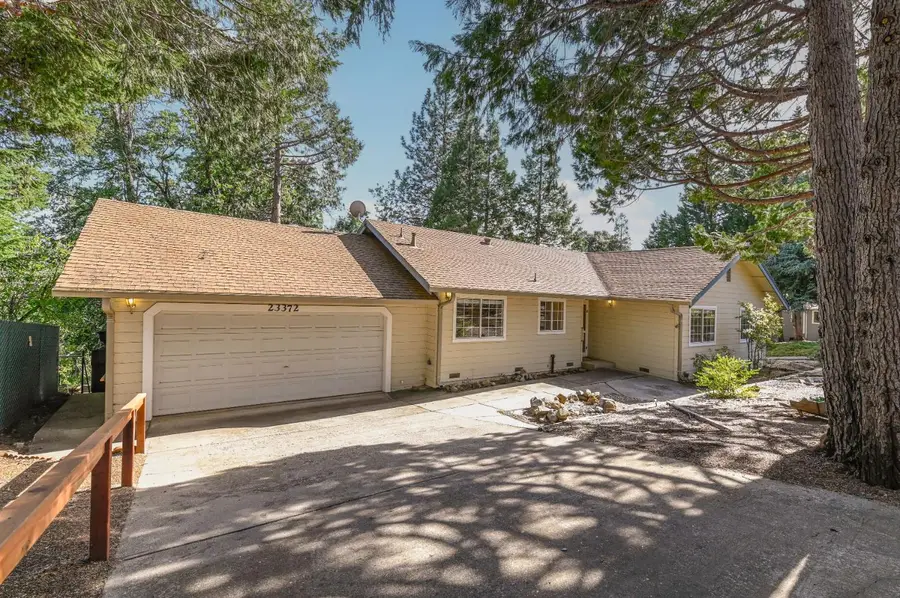 23372 Fortress Way, Pioneer, CA 95666 - #3