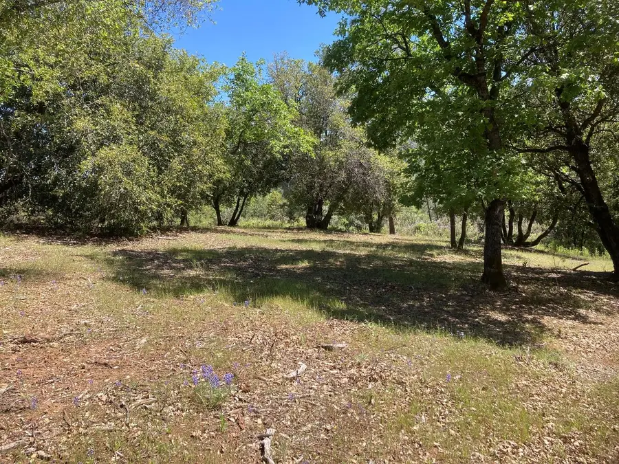 16688 Sonshine Lane, Sutter Creek, CA 95685 - Image #2