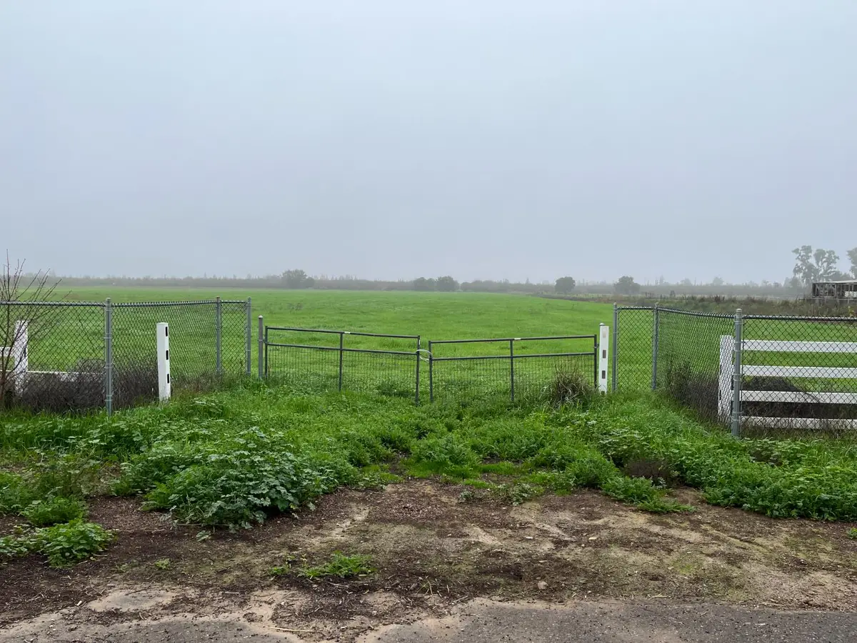 26304 E Mahon Avenue, Escalon, CA 95366 - Image #1