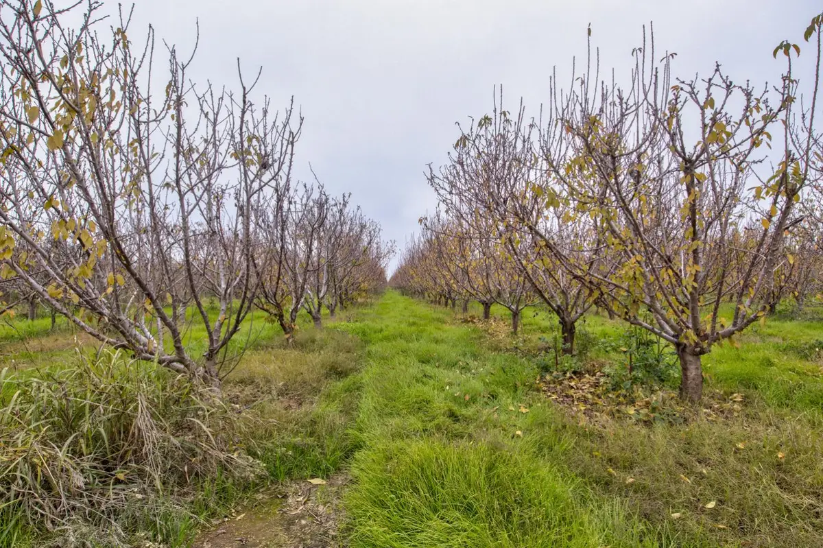 0 Ave 48, Earlimart, CA 93219 - Image #1