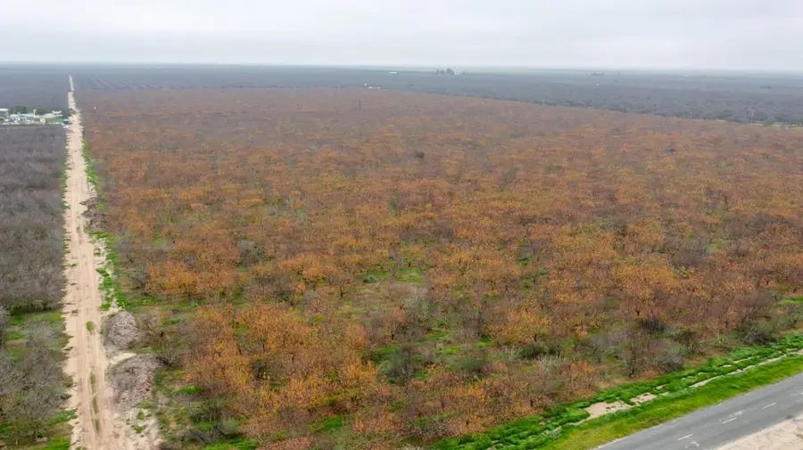 0 Ave 48, Earlimart, CA 93219 - Image #2