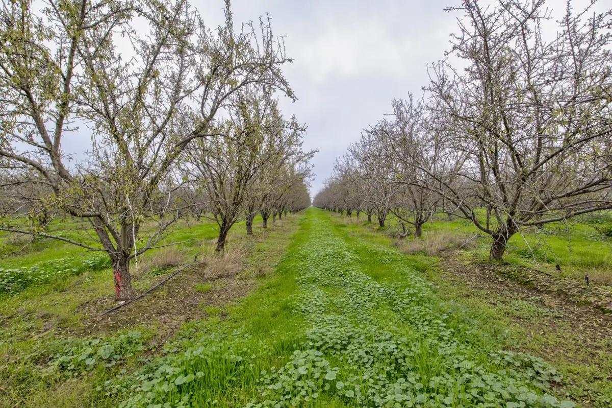 1941 N Dietz Road, Earlimart, CA 93219 - Image #1