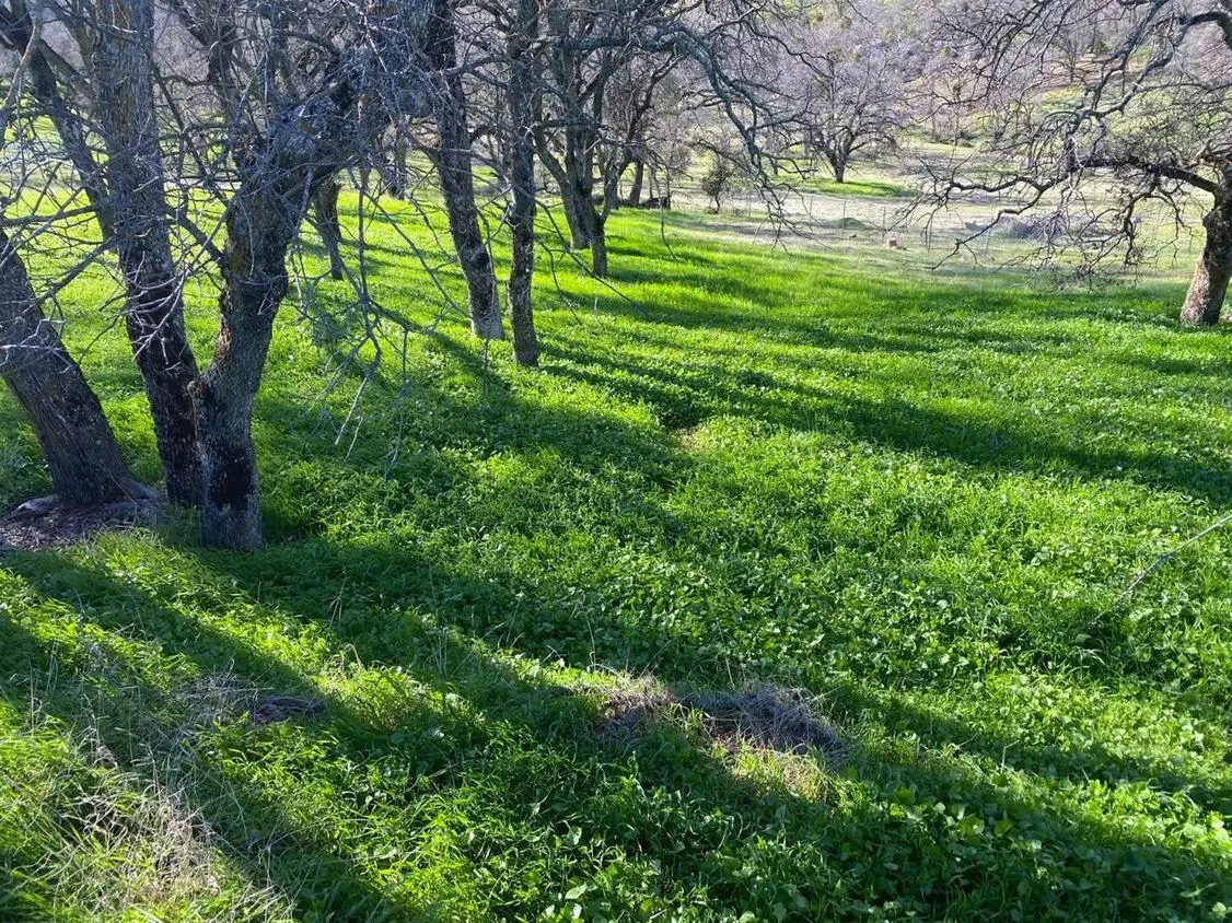 5588 Rippon Road, Valley Springs, CA 95252 - Image #1