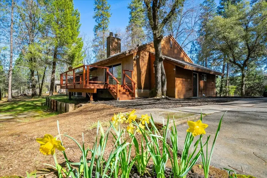 795 Acorn Way, Meadow Vista, CA 95722 - #3