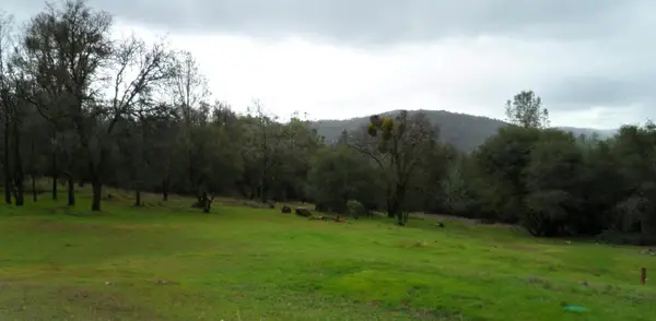 8074 Wildflower Way, Oregon House, CA 95962