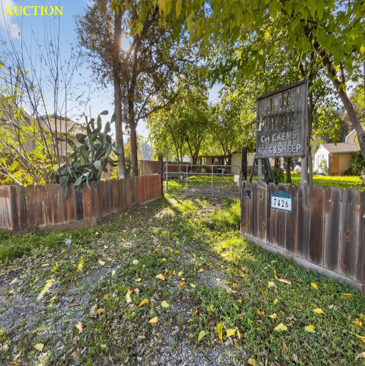 7426 State Highway 16, Guinda, CA 95637 - Image #1