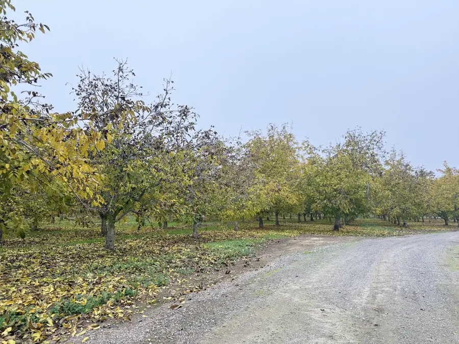 30944 Grooms Road, Oakdale, CA 95361 - Image #3