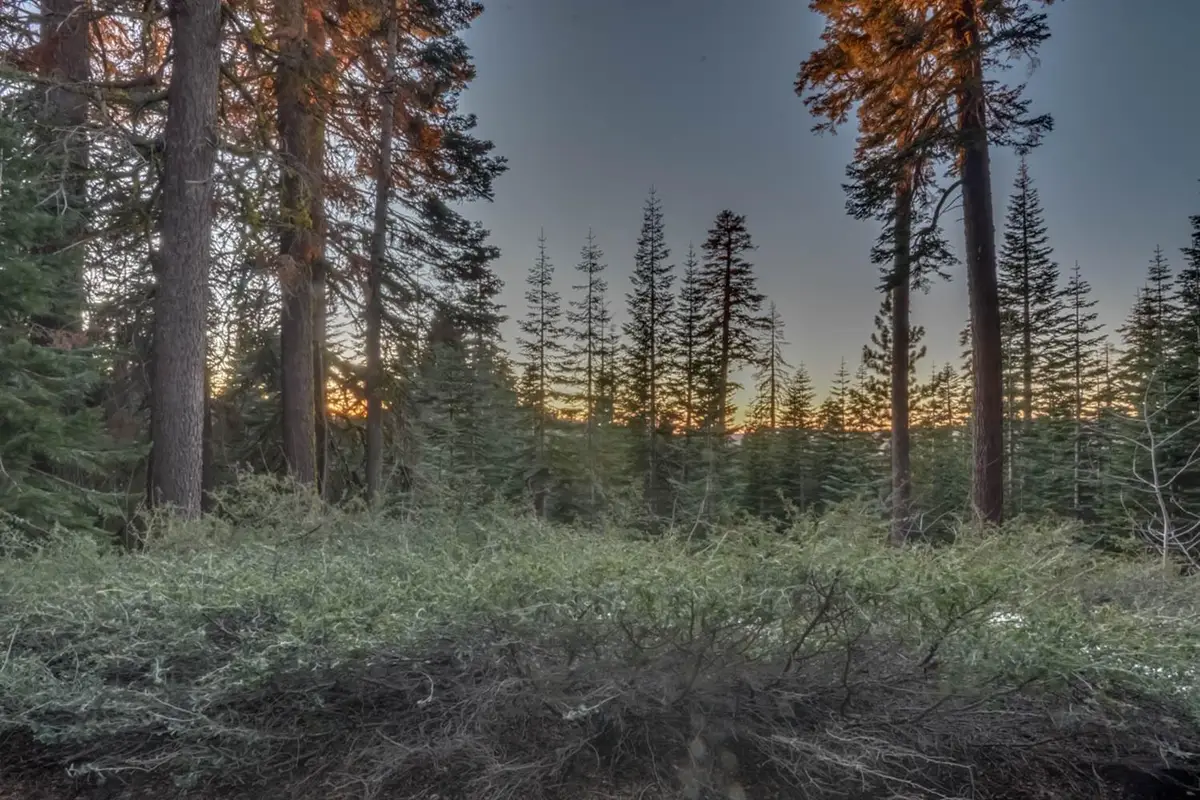 0 Prather Meadow Road, Arnold, CA 95223 - Image #1