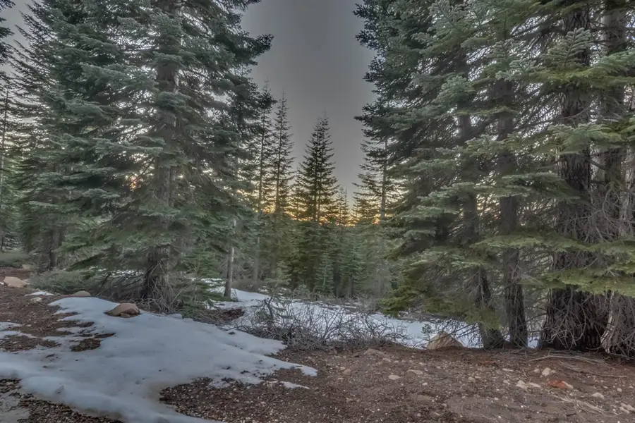 0 Prather Meadow Road, Arnold, CA 95223 - Image #2