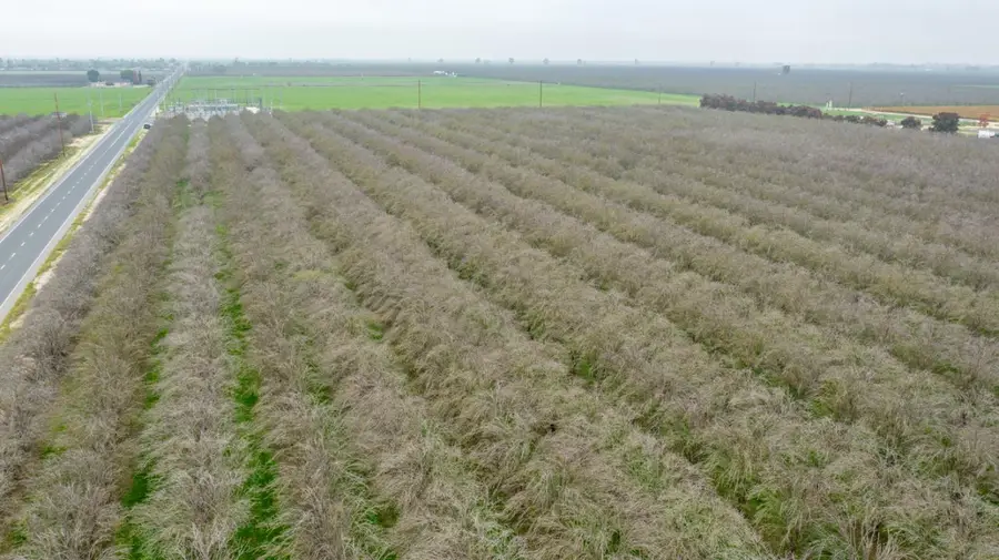 0 Sierra Ave & N Kramer St, Earlimart, CA 93219 - Image #3