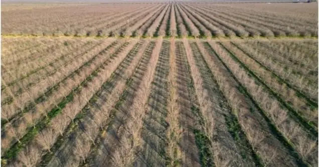 17015 Leonard Avenue, Wasco, CA 93280 - Image #2